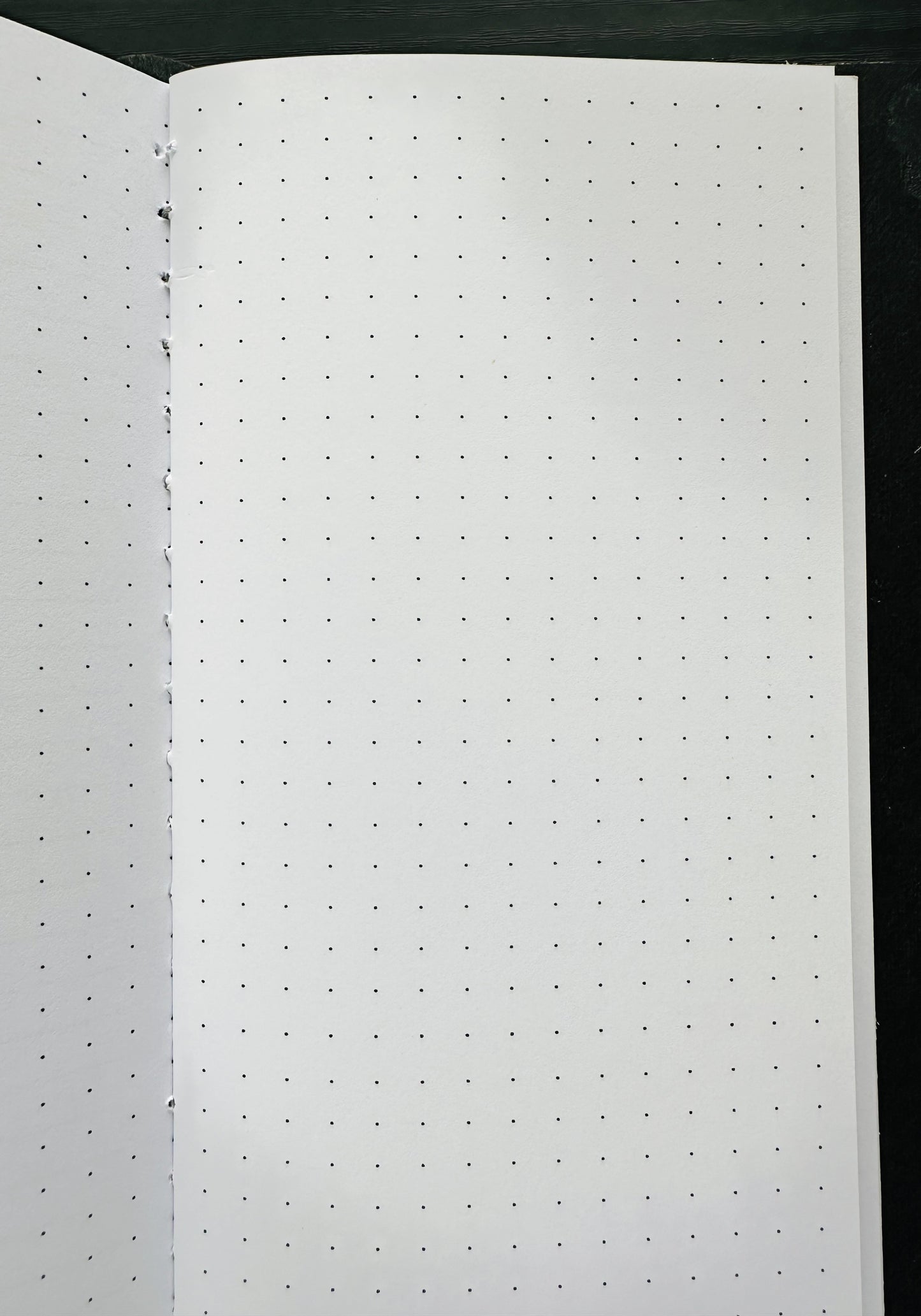 DOT GRID  Book Binding Signature Printable-PDF